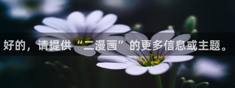 汗汗漫画在线观看入口nba：好的，请提供“二漫画”的更多信息或主题。