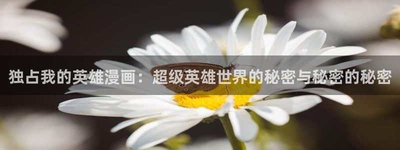 汗汗漫画排行：独占我的英雄漫画：超级英雄世界的秘密与秘密的秘密