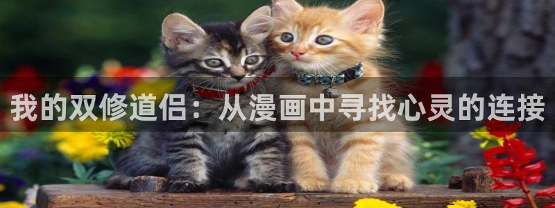 汗汗漫画.：我的双修道侣：从漫画中寻找心灵的连接