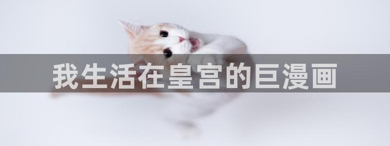 汗汗漫画韩国首页：我生活在皇宫的巨漫画