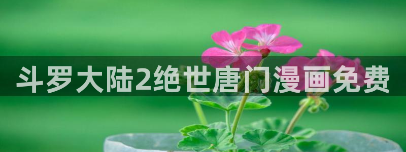 韩国羞羞汗汗漫画：斗罗大陆2绝世唐门漫画免费