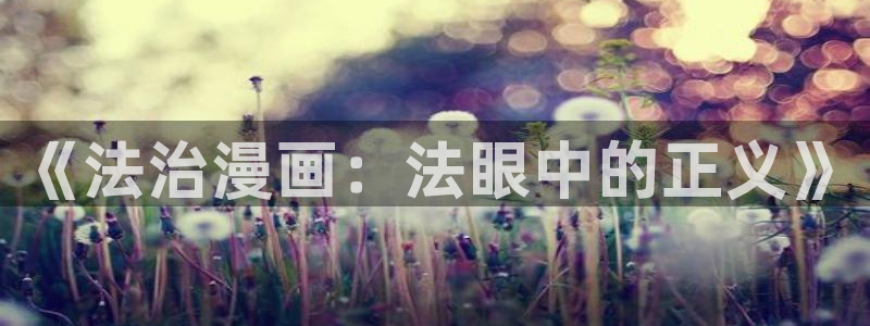 汗汗漫画怎么不见了：《法治漫画：法眼中的正义》
