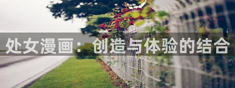 汗汗漫画平台：处女漫画：创造与体验的结合