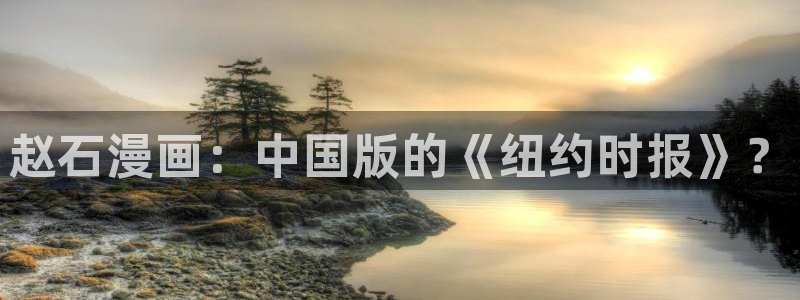 汗汗漫画网改名：赵石漫画：中国版的《纽约时报》？