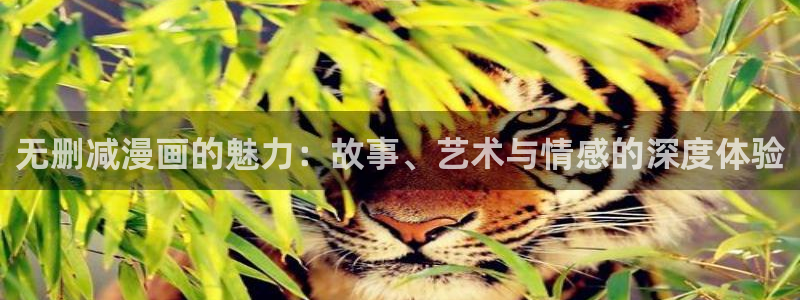 汗汗漫画页面入口：无删减漫画的魅力：故事、艺术与情感的深度体验