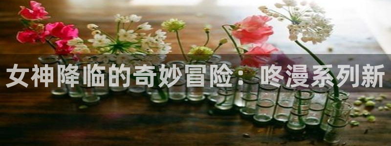 韩国羞羞汗汗漫画：女神降临的奇妙冒险：咚漫系列新