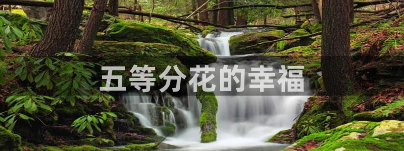 汗汗漫画最新网址：五等分花的幸福